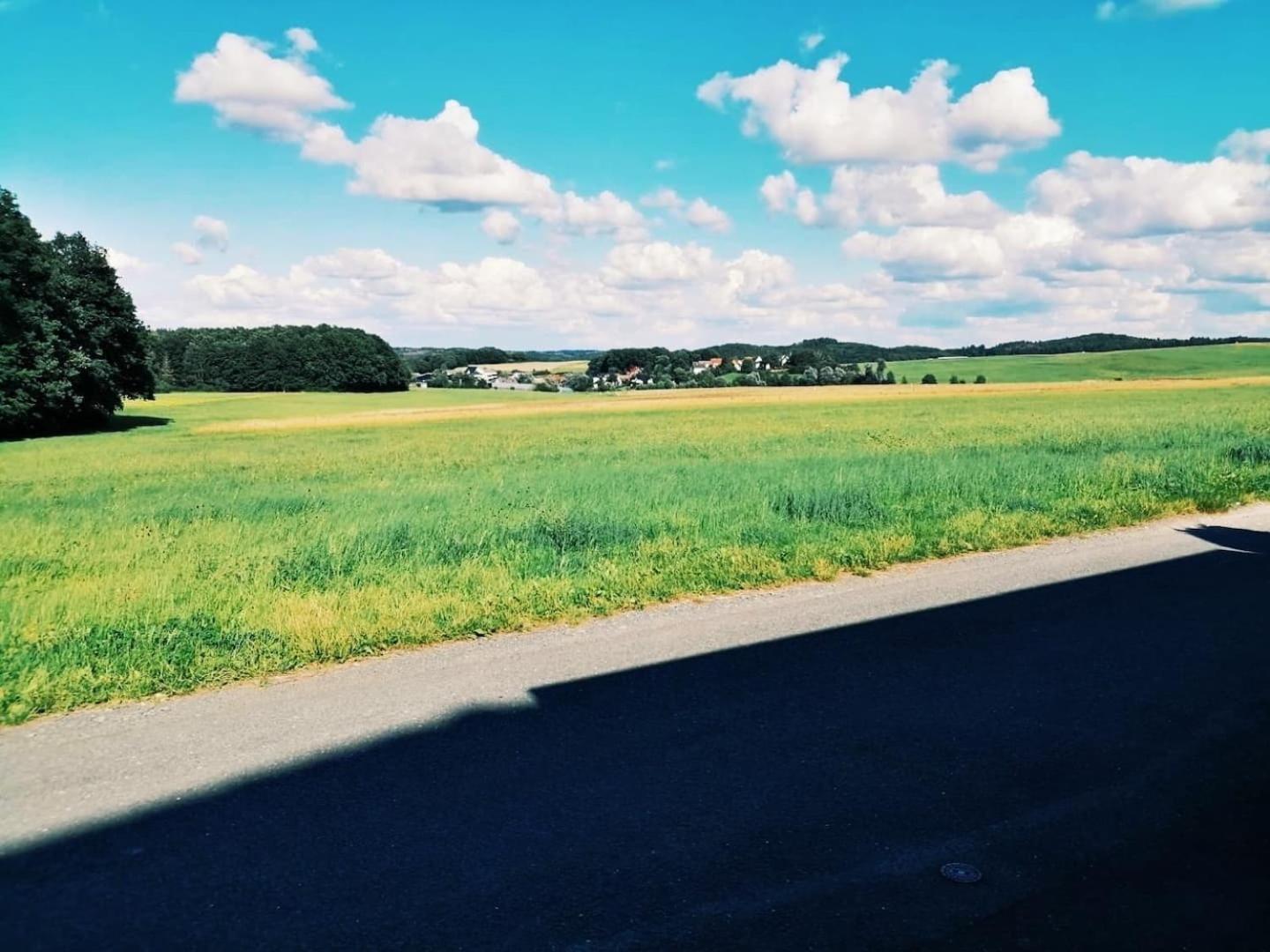 76 Qm Whg Im Eg Haus-Wohlfuehloase Vor Der Haustuer Apartment Gladenbach Екстериор снимка